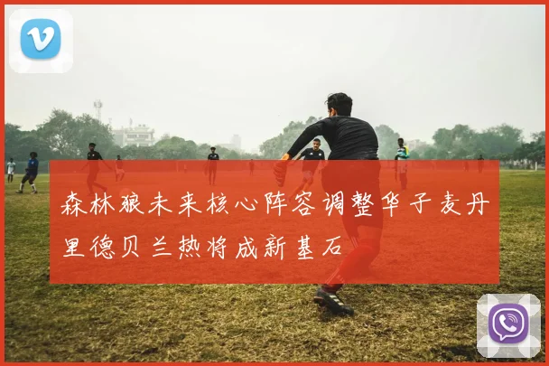 森林狼未来核心阵容调整华子麦丹里德贝兰热将成新基石