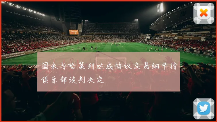 国米与哈莱利达成协议交易细节待俱乐部谈判决定