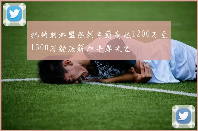 托纳利加盟热刺年薪高达1200万至1300万镑底薪加丰厚奖金